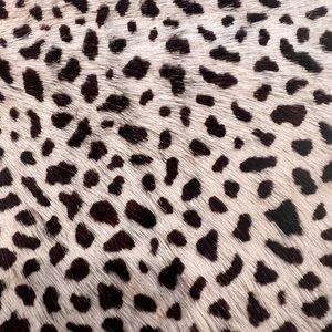 17x17 Square Animal Print pillows